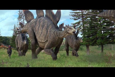Silly Dinosaur Rhyme