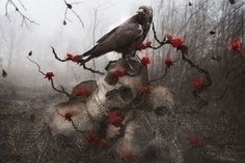 Suicide Lullabye