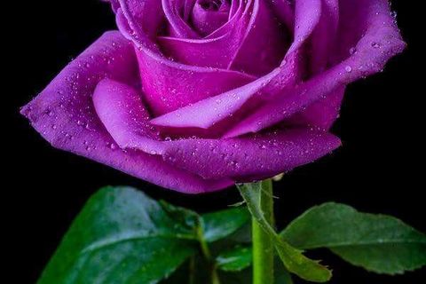 JANUARY SKETCHES: DAY 15 WILLIAMSJI WRITES, GOOD LIFE