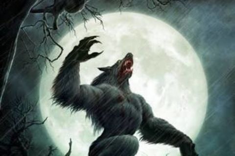 Howl to the moon 