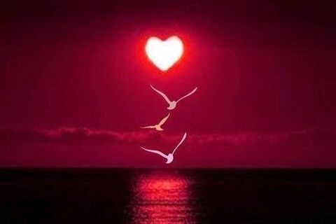 My Guiding Light