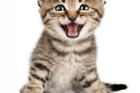 What&#039;s Up With Him?