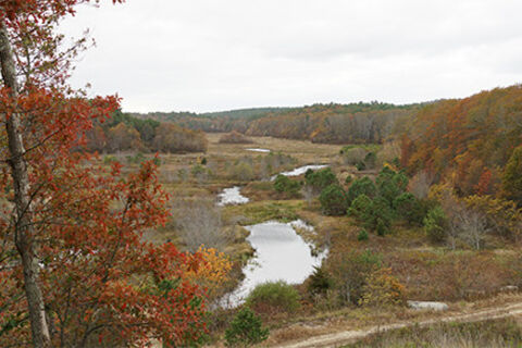 TIDMARSH FARMS 