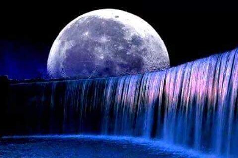 Love Luna