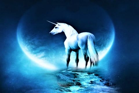 WHATEVER HAPPEN TO THE UNICORNS 
