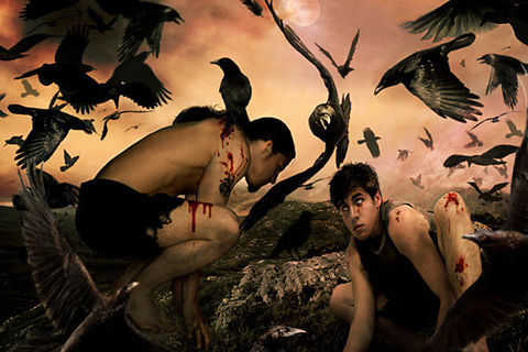 A Murder Of Crows