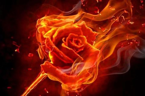 Beautiful Ashes