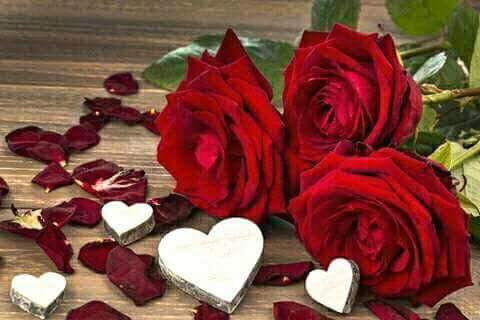 petal tracks 