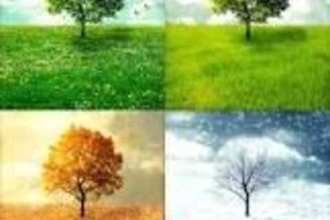 Cyclical Patterns