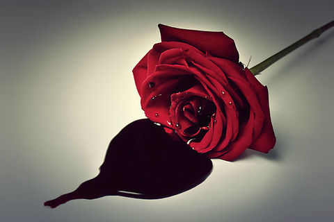 A Calling Card!