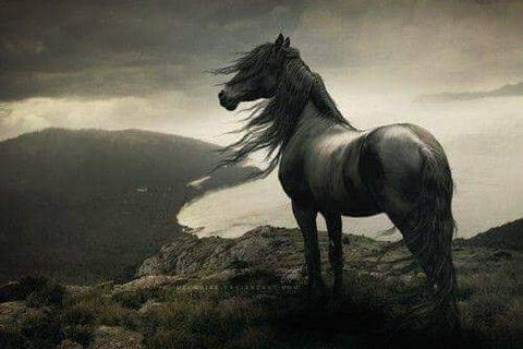 It looks like