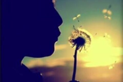  Wishes