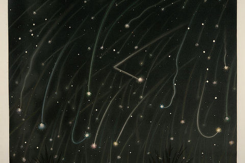 NOVEMBER METEORS