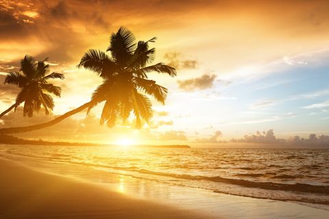 Tides, sunsets, and forgotten dreams