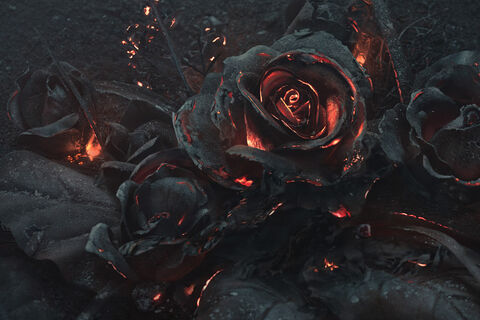 Embers