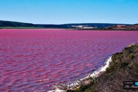 PinK lake 