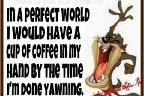In a Perfect World