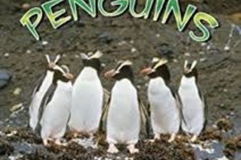 ENDANGERED PENGUINS 