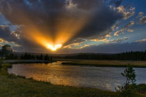 The Light The Love