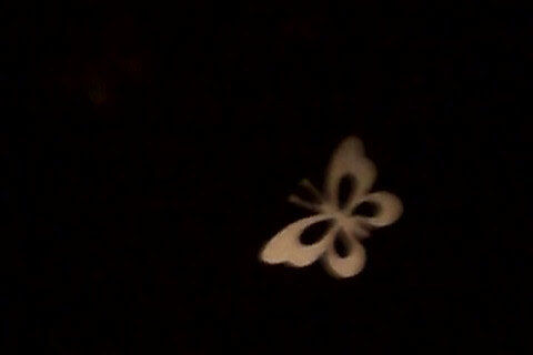 the golden butterfly