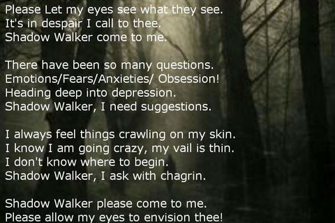 Shadow Walker 