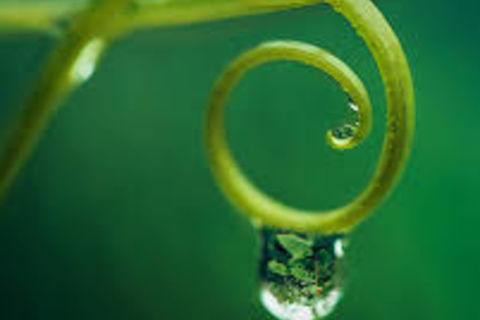 Droplet