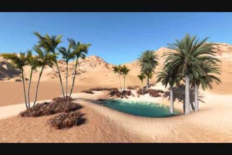Oasis