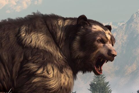 Ursus
