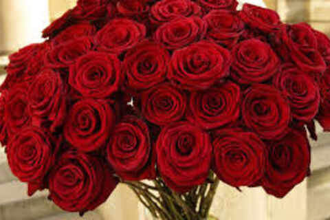 A Bunch of Roses