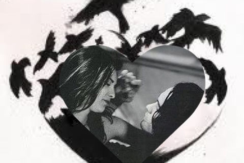 Like Eric &amp; Shelly