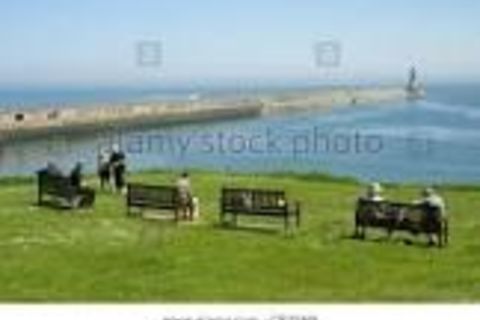 Sat here on Mick&#039;s seat (on the Spanish Battery, Tynemouth)