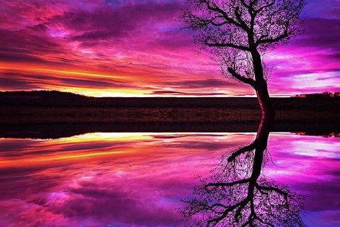 violet skies