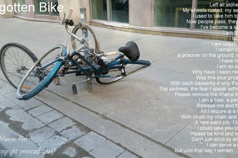 Forgotten Bike