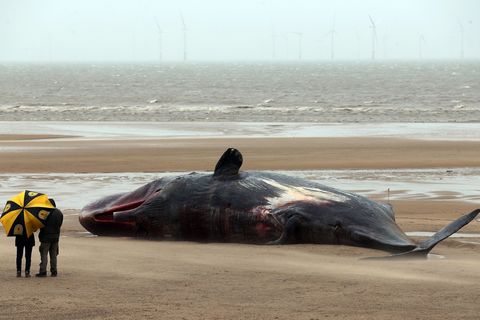 19.30 - 4 Feb 2016 On A Beach In Norfolk