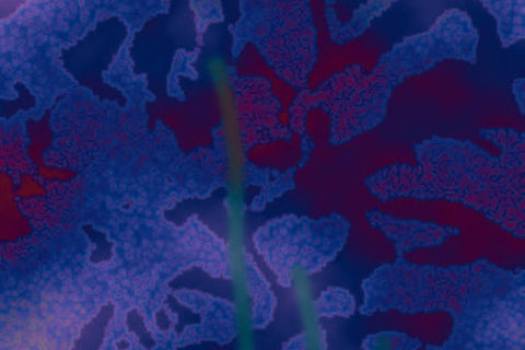 The regolith&#039;s memory