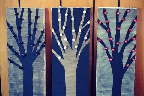 Seeds to Flowers.
