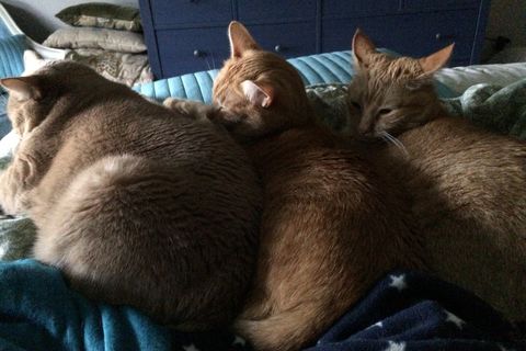 Sleep Depravasion