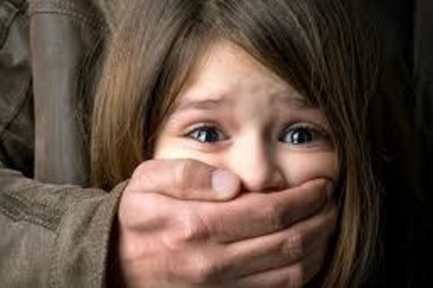 The Kidnap