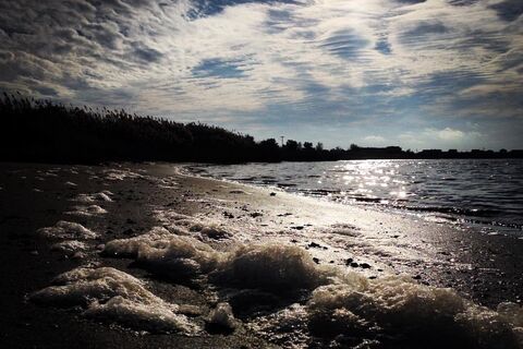 Sea Foam Serenade 