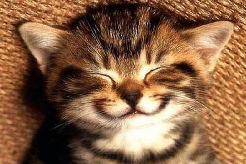 What Your Smile Can Do