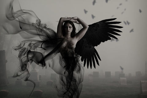 Beautiful Demise