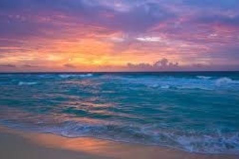 Ocean Voices