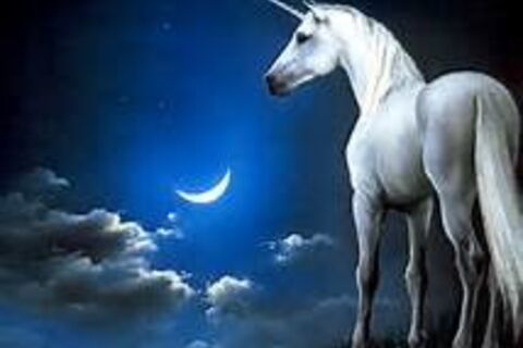 THE UNICORN IN MY DREAM