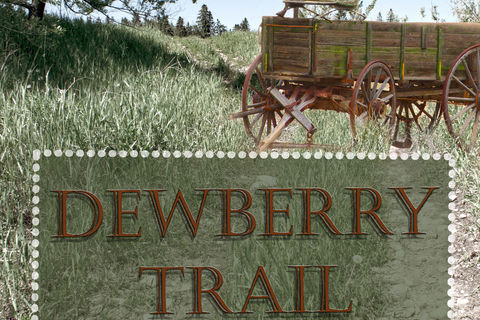 DEWBERRY TRAIL