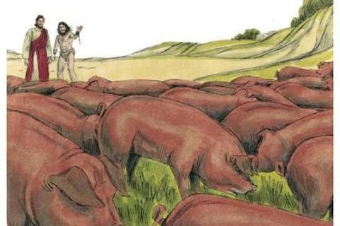 Smelling of pig 