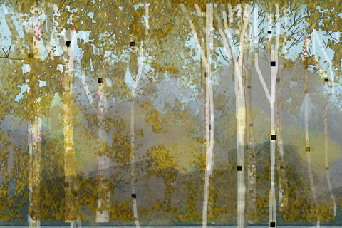 Circle of trees in a meadow