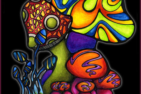 Shrooms