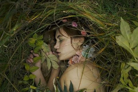 &quot;Retreating back to nature&quot; By Ben Goode 2017 (c)