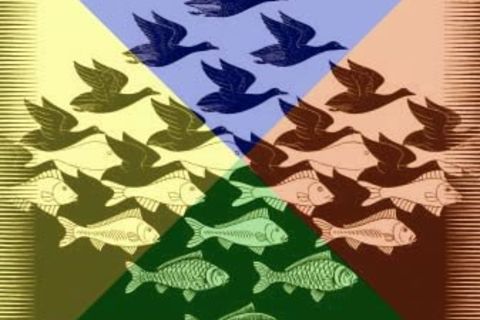 Collective Me