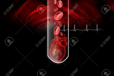 Heart in a Test Tube!
